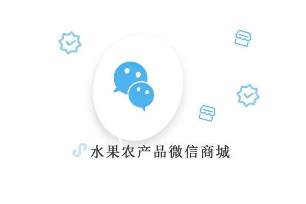 微商城開(kāi)發(fā)