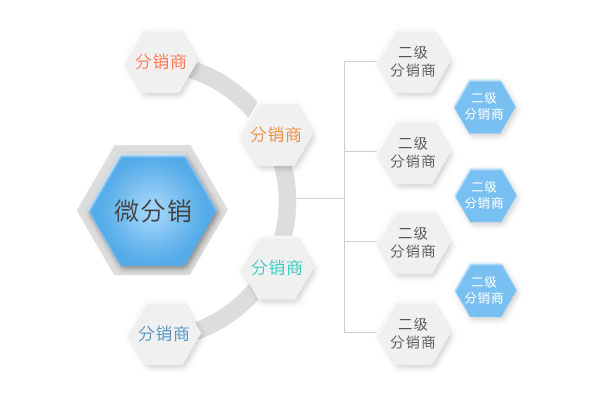 微分銷(xiāo)系統開(kāi)發(fā)
